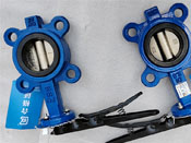 D71X-16Q-DN65-手動蝶閥實(shí)物圖